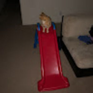 Meet your Posher, Derek